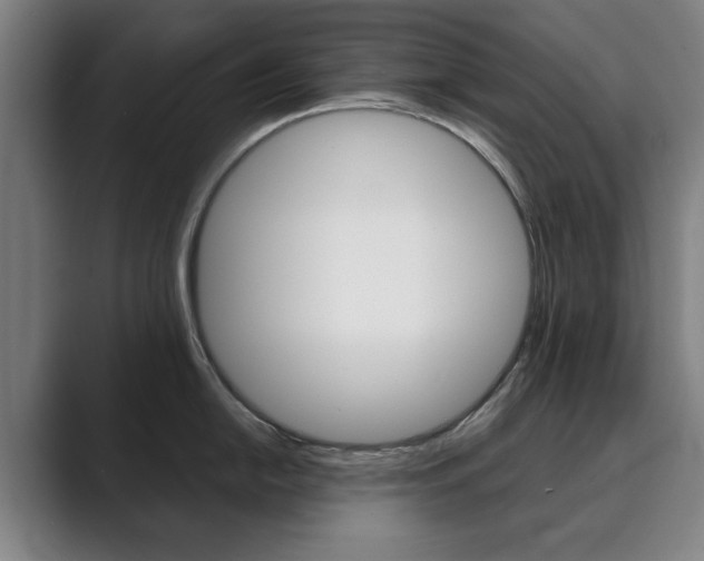 X0000089931054200706290751