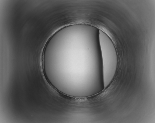 X0000089931055200706290751