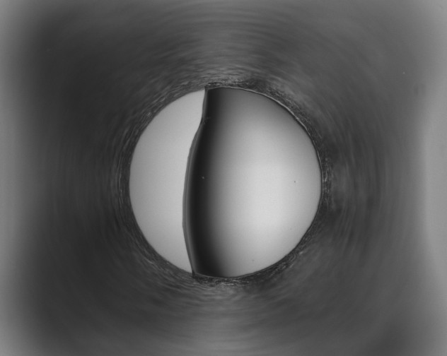 X0000089931058200706290751