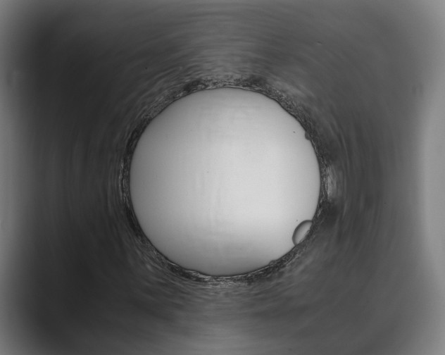X0000089931059200706290751
