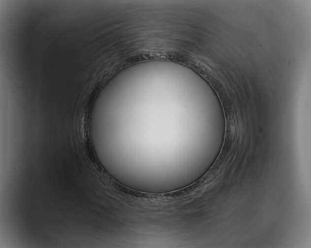 X0000089931060200706290751