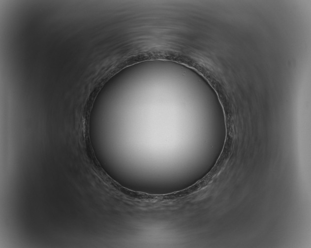 X0000089931061200706290751