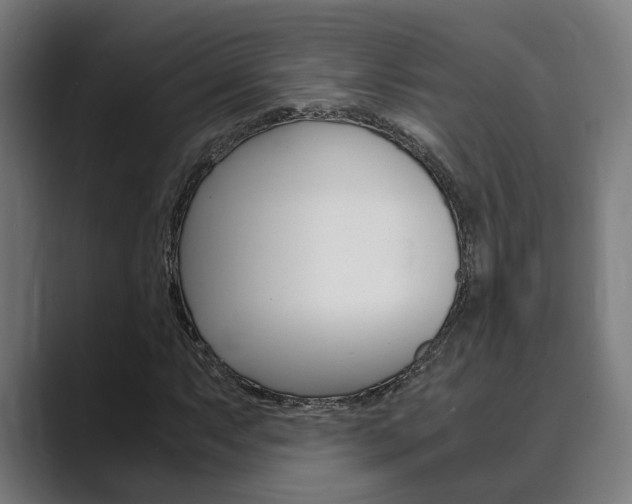 X0000089931063200706290751
