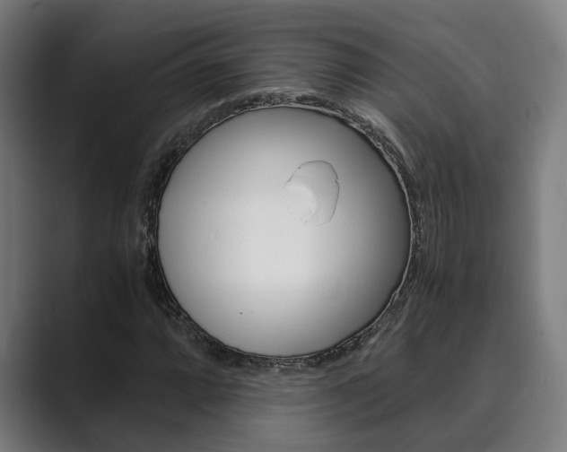 X0000089931064200706290751
