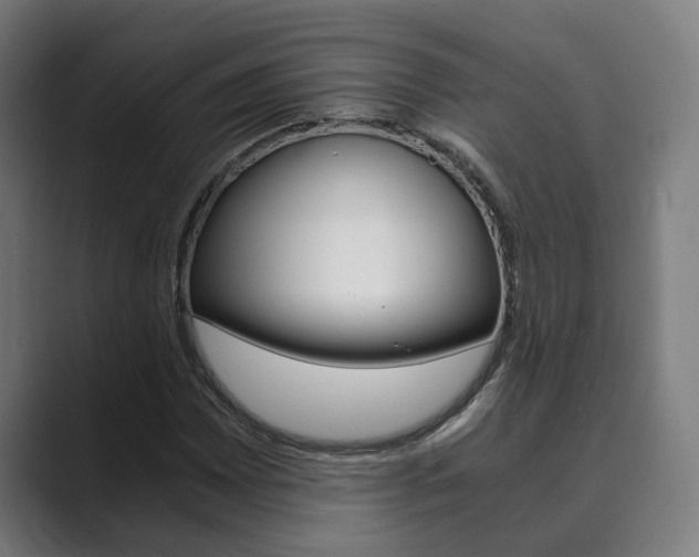 X0000089931065200706290751