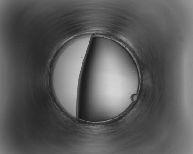 X0000089931066200706290751