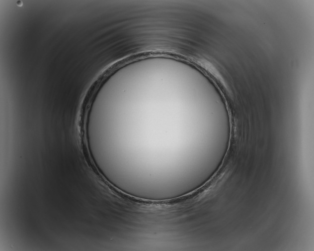 X0000089931068200706290751