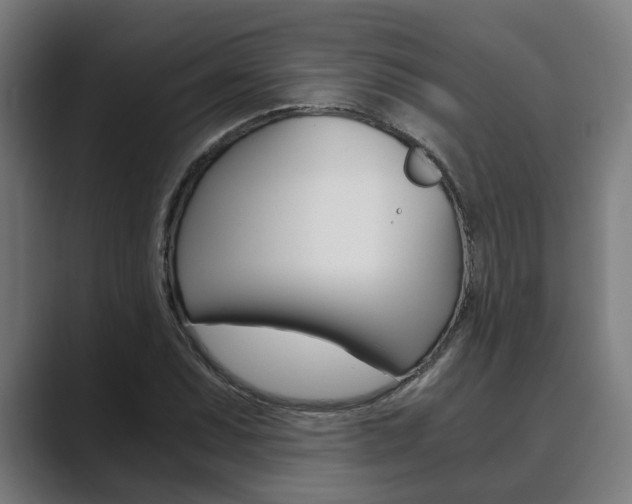 X0000089931071200706290751