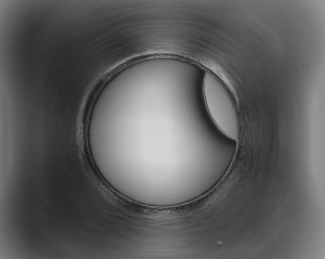 X0000089931072200706290751