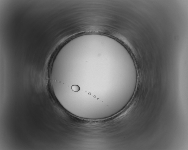X0000089931075200706290750