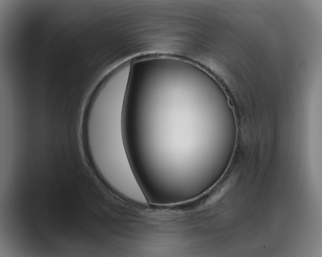 X0000089931077200706290750