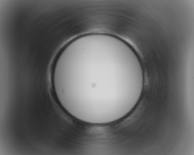 X0000089931078200706290750