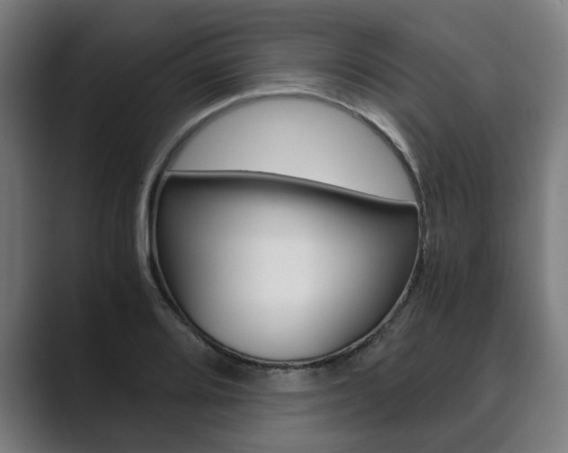 X0000089931080200706290750