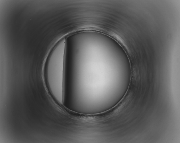 X0000089931082200706290750