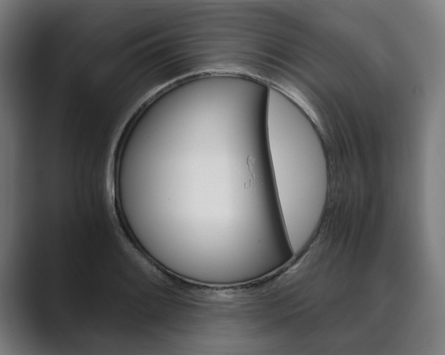 X0000089931084200706290750
