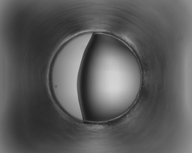 X0000089931085200706290750