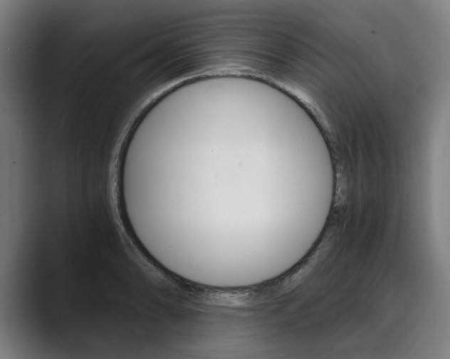X0000089931086200706290750