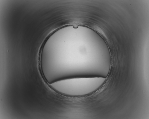 X0000089931087200706290750