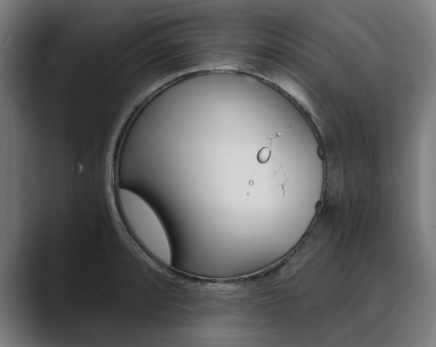 X0000089931088200706290750