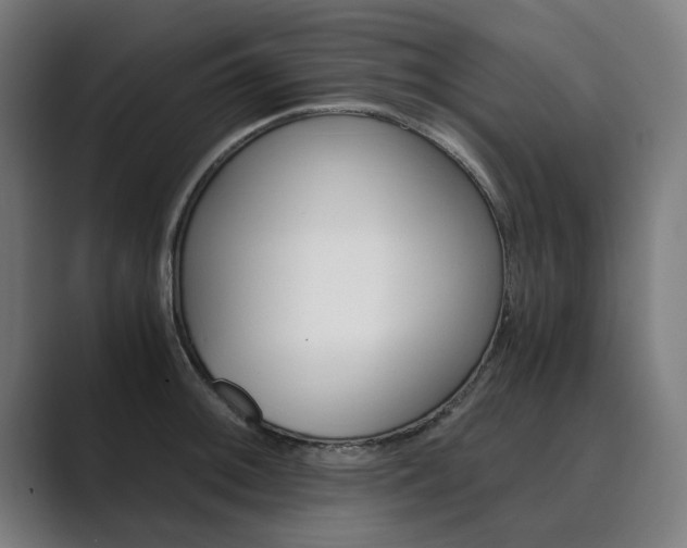 X0000089931092200706290750