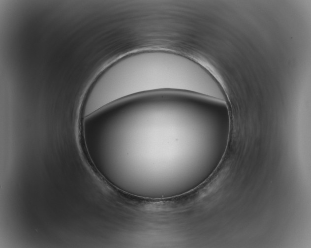 X0000089931093200706290750