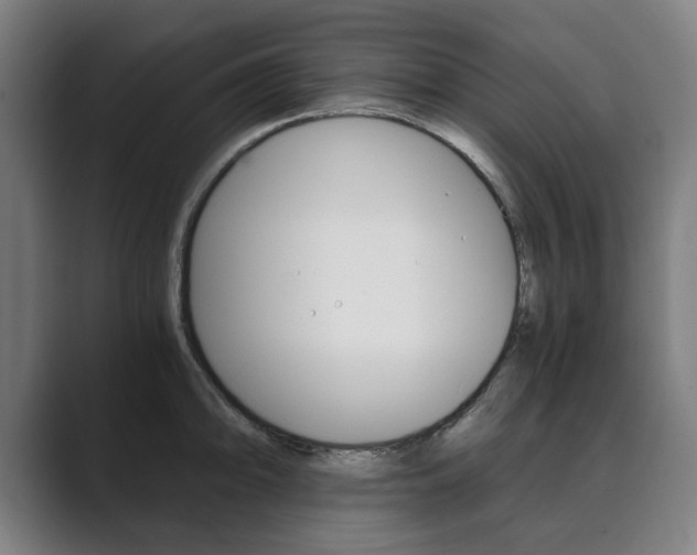 X0000089931094200706290750