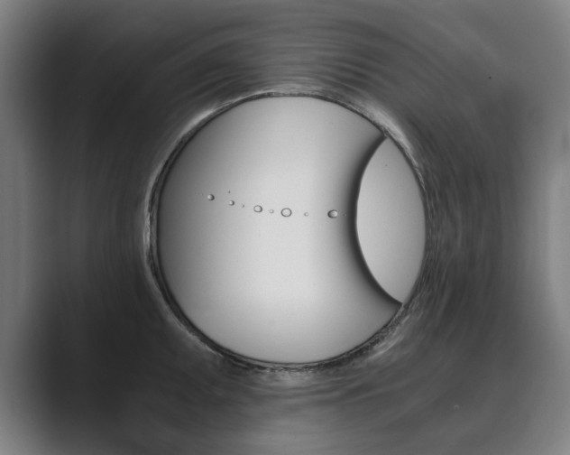 X0000089931095200706290750