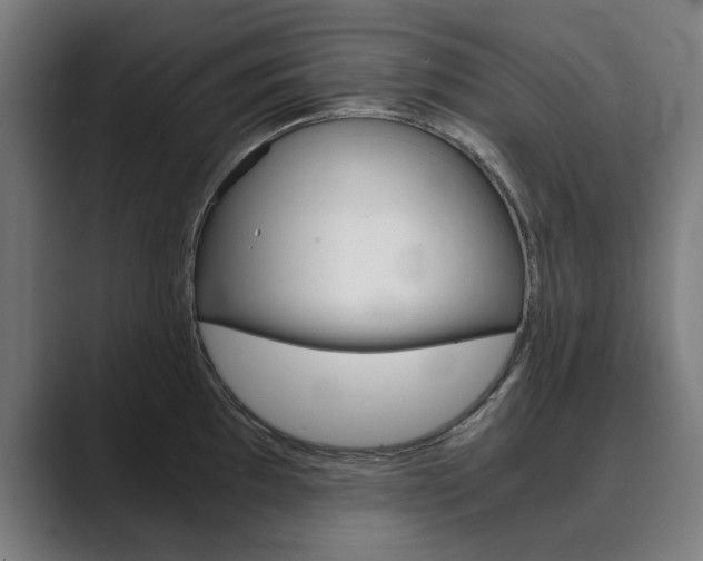 X0000089931097200706290750