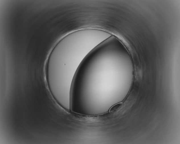 X0000089931102200706290750