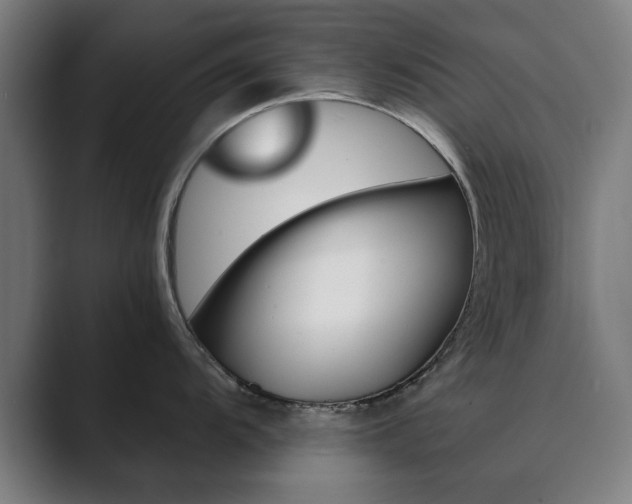 X0000089931104200706290750