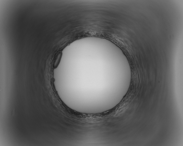 X0000089931105200706290749