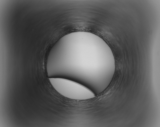 X0000089931106200706290749