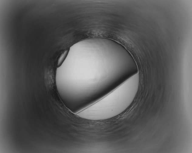 X0000089931107200706290749