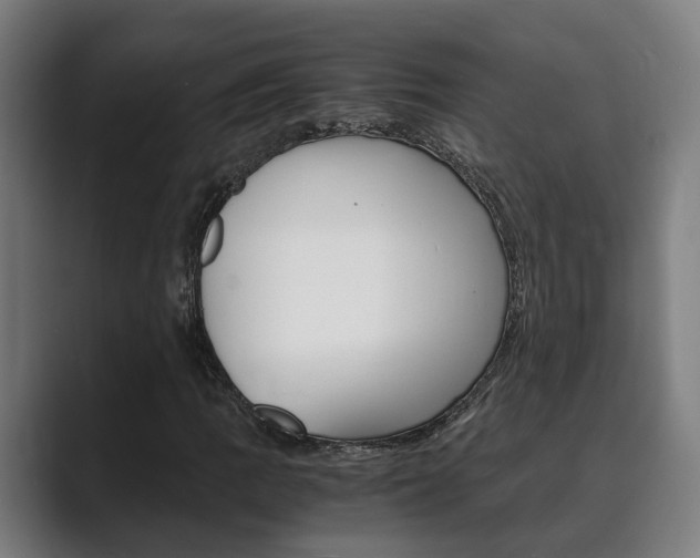 X0000089931109200706290749