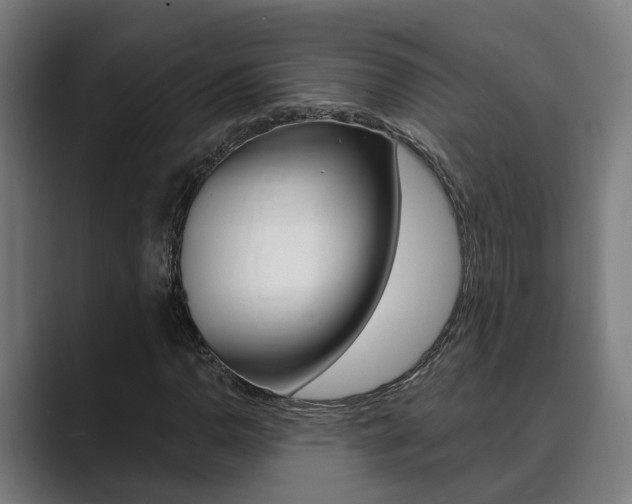 X0000089931110200706290749