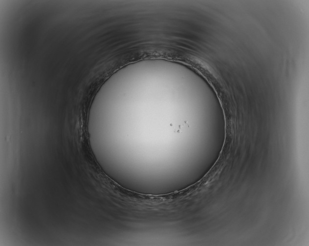 X0000089931111200706290749