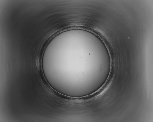 X0000089931113200706290749