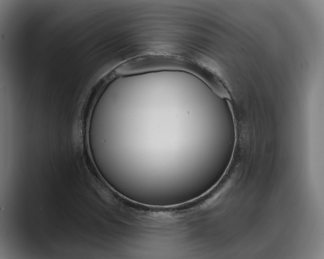 X0000089931114200706290749