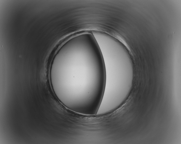 X0000089931116200706290749