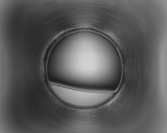 X0000089931118200706290749