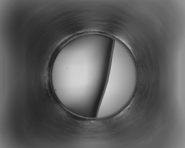 X0000089931119200706290749