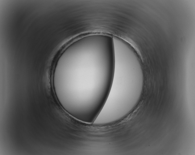 X0000089931120200706290750
