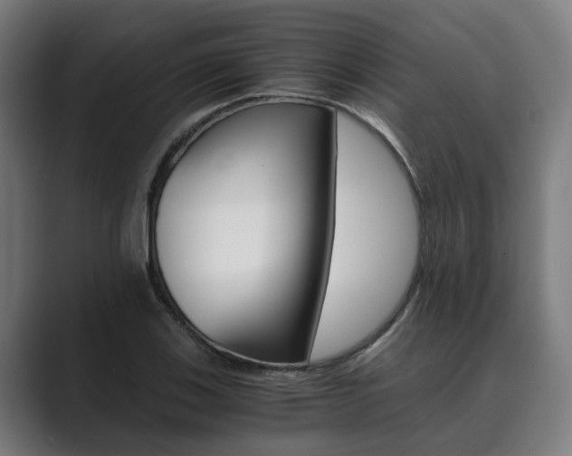 X0000089931123200706290750