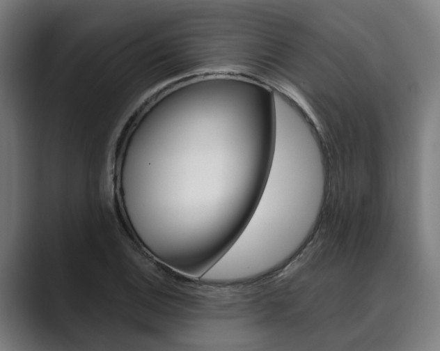 X0000089931124200706290750