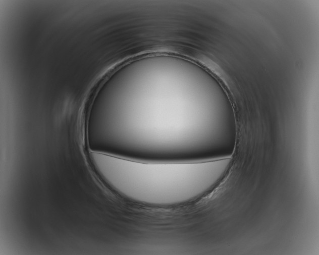 X0000089931127200706290750