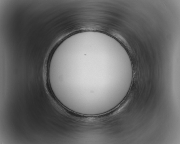 X0000089931130200706290750