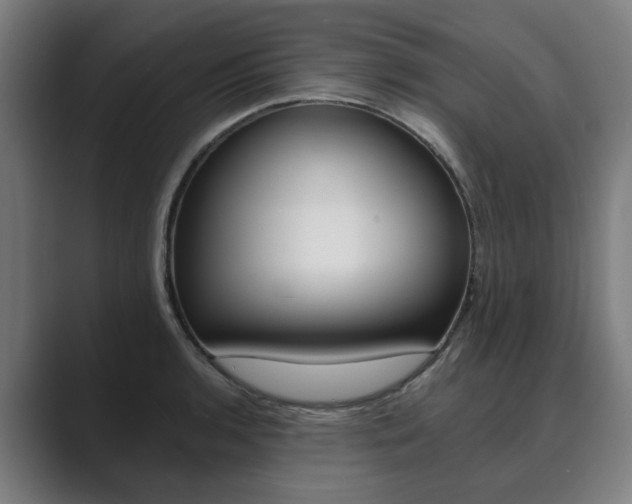 X0000089931136200706290750