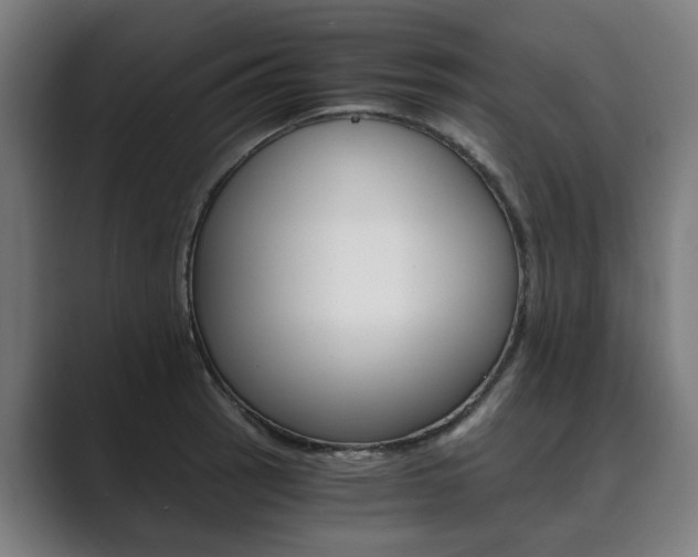 X0000089931137200706290750