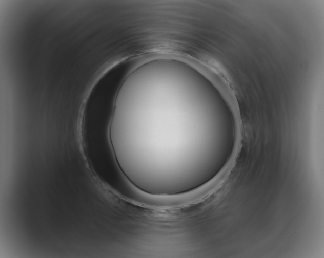 X0000089931138200706290750