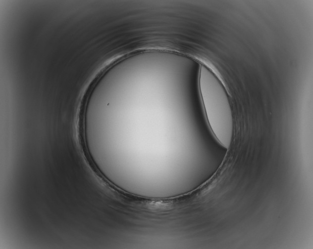 X0000089931139200706290750